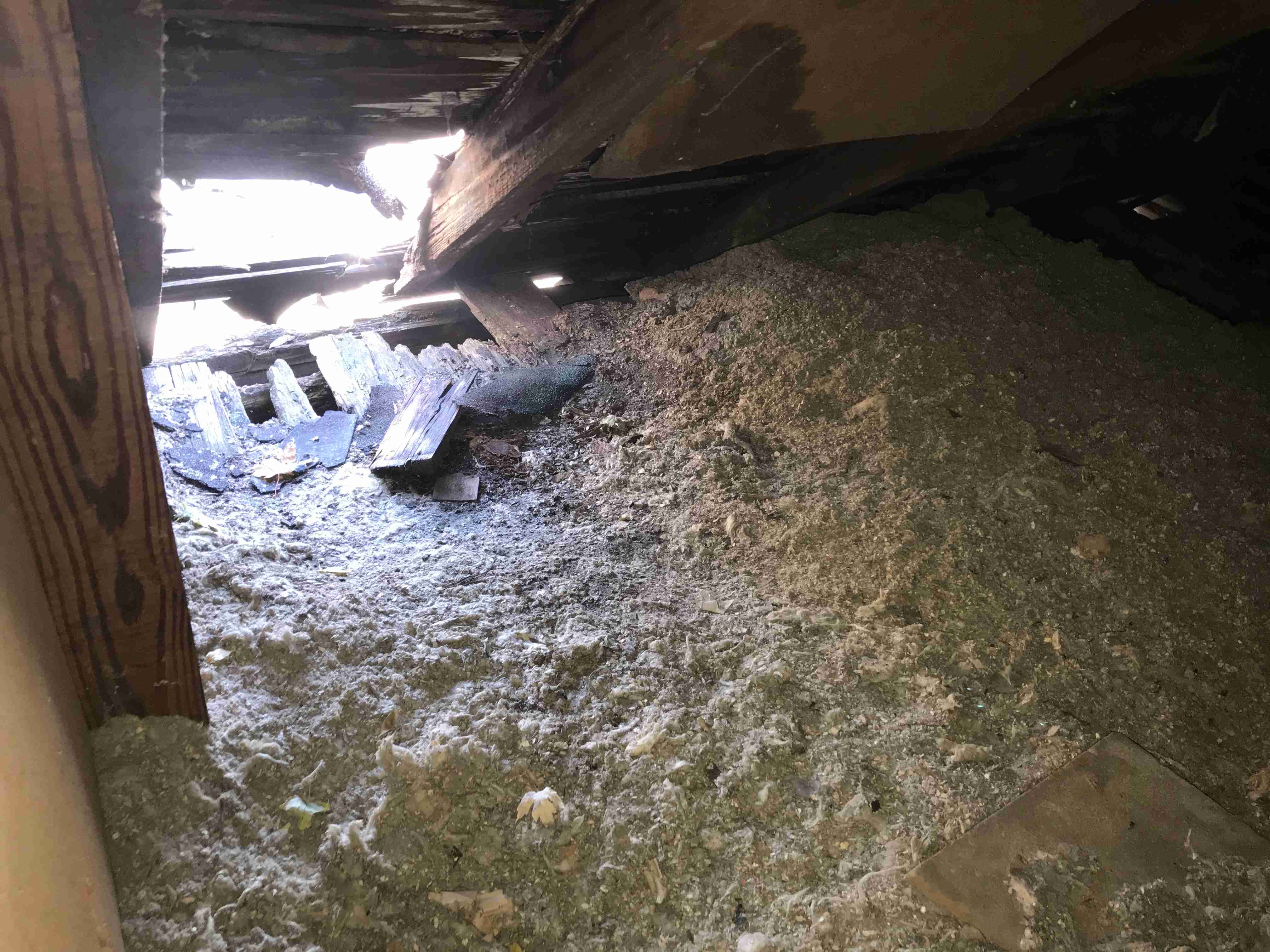 Photo Nov 03, 2 15 58 PM.jpg